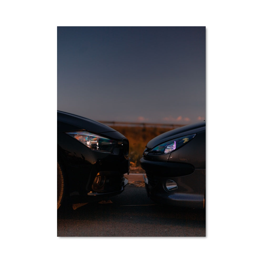 Poster 206 gti 79120