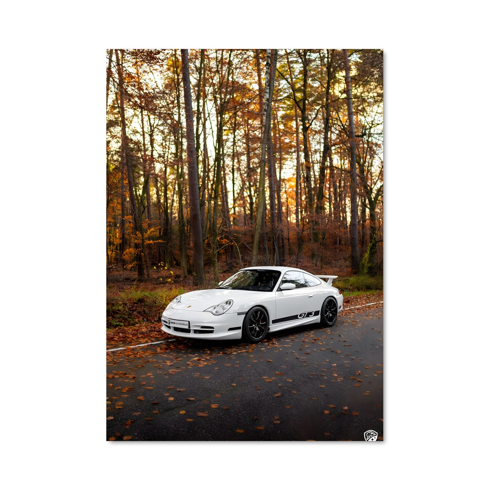 Poster 996 gt3 79353