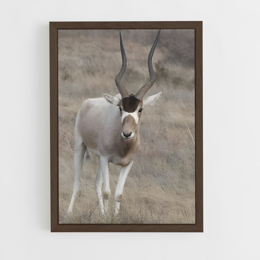 ap-addax-4 cadre Bois foncé