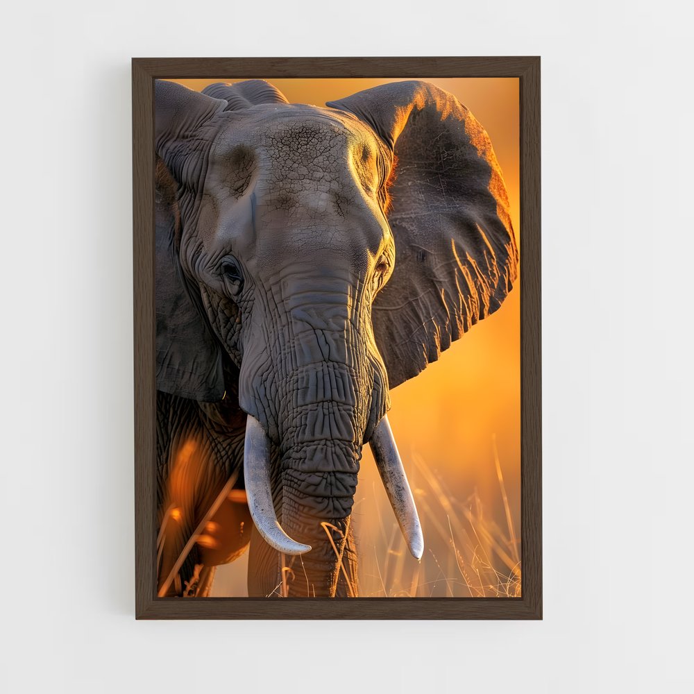 ap-african elephant-8 cadre Bois foncé