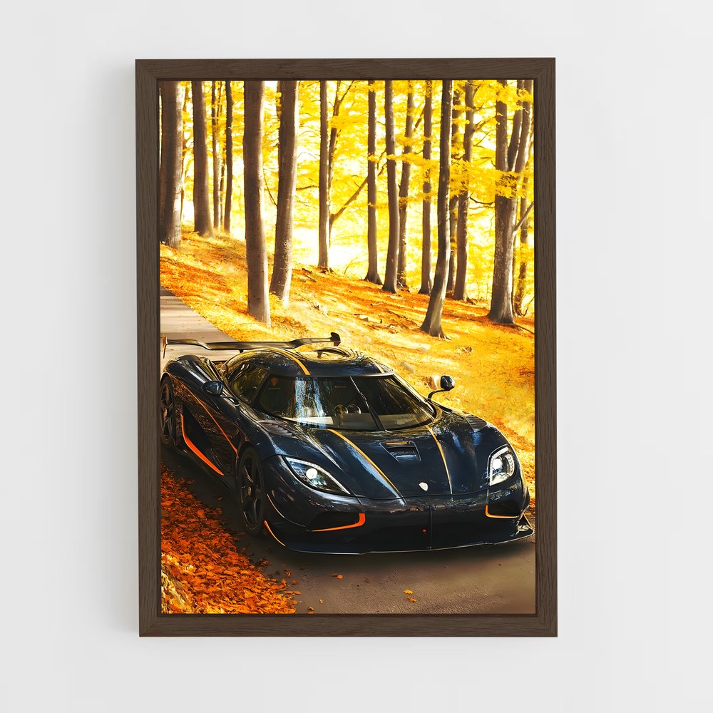 ap-agera rs-4 cadre Bois foncé