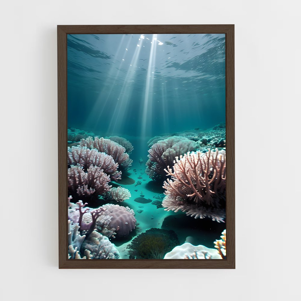 ap-aldabra atoll-1 cadre Bois foncé