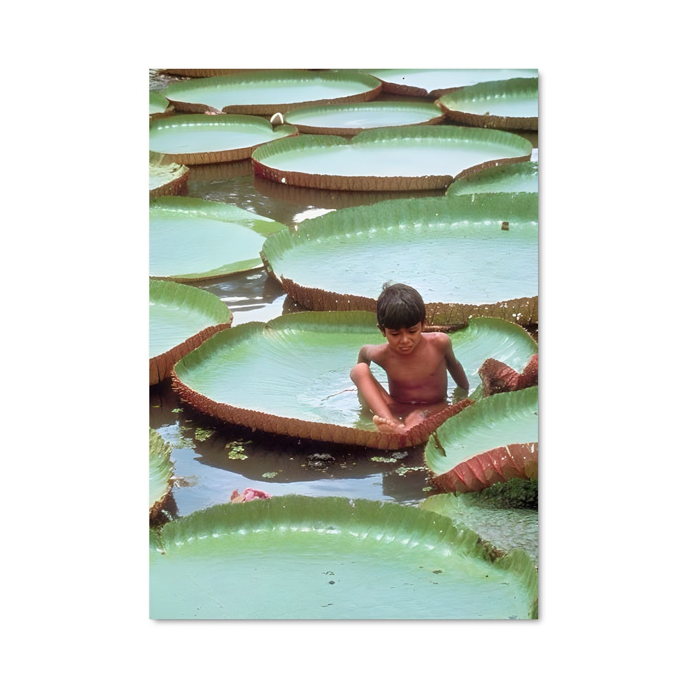 Poster Nénuphars Gigantesques