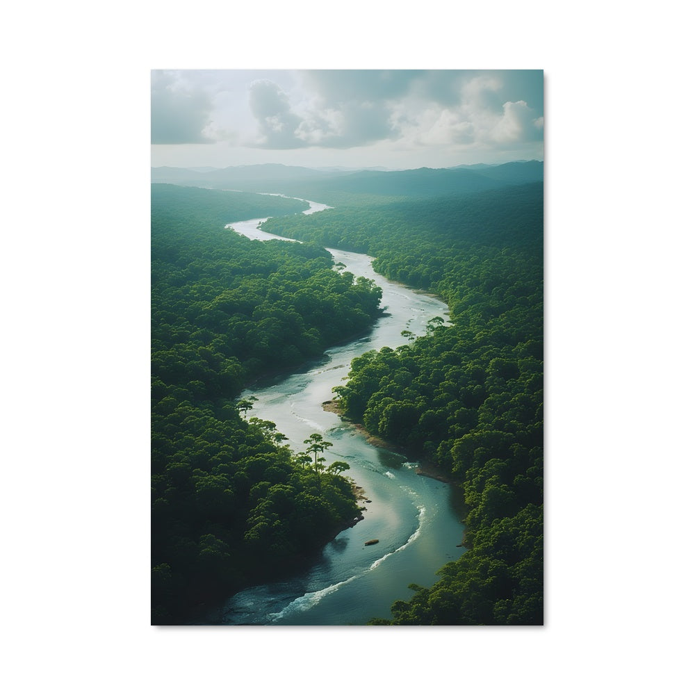 Poster Amazon river 97459