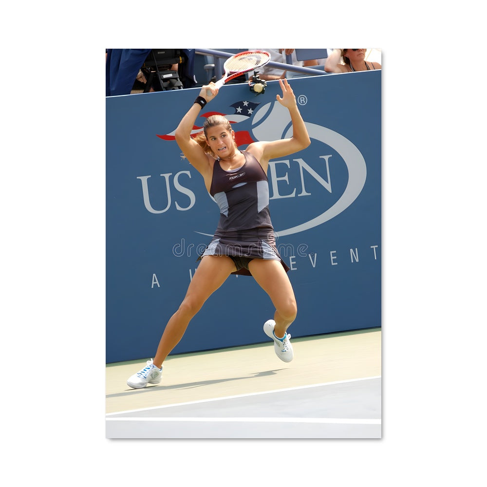 Poster Ace in Action