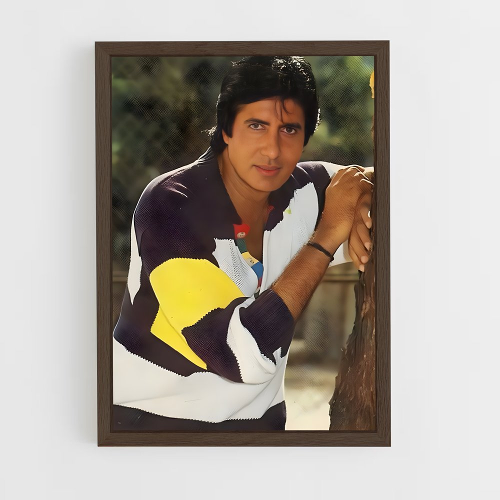 ap-amitabh bachchan-3 cadre Bois foncé