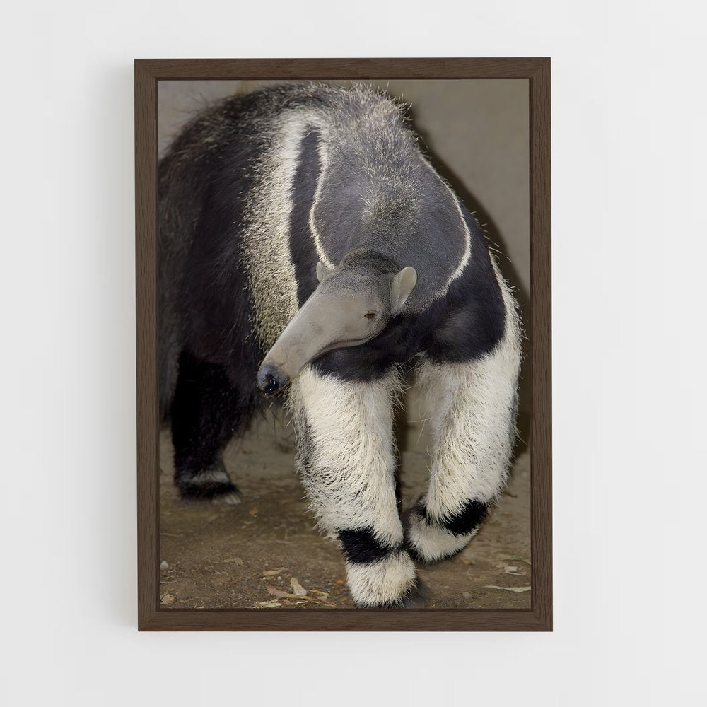 ap-anteater-7 cadre Bois foncé
