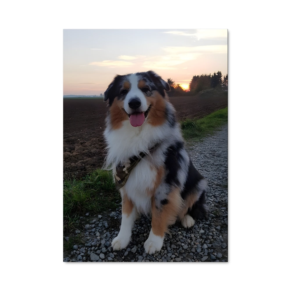 Poster Chien au Crépuscule