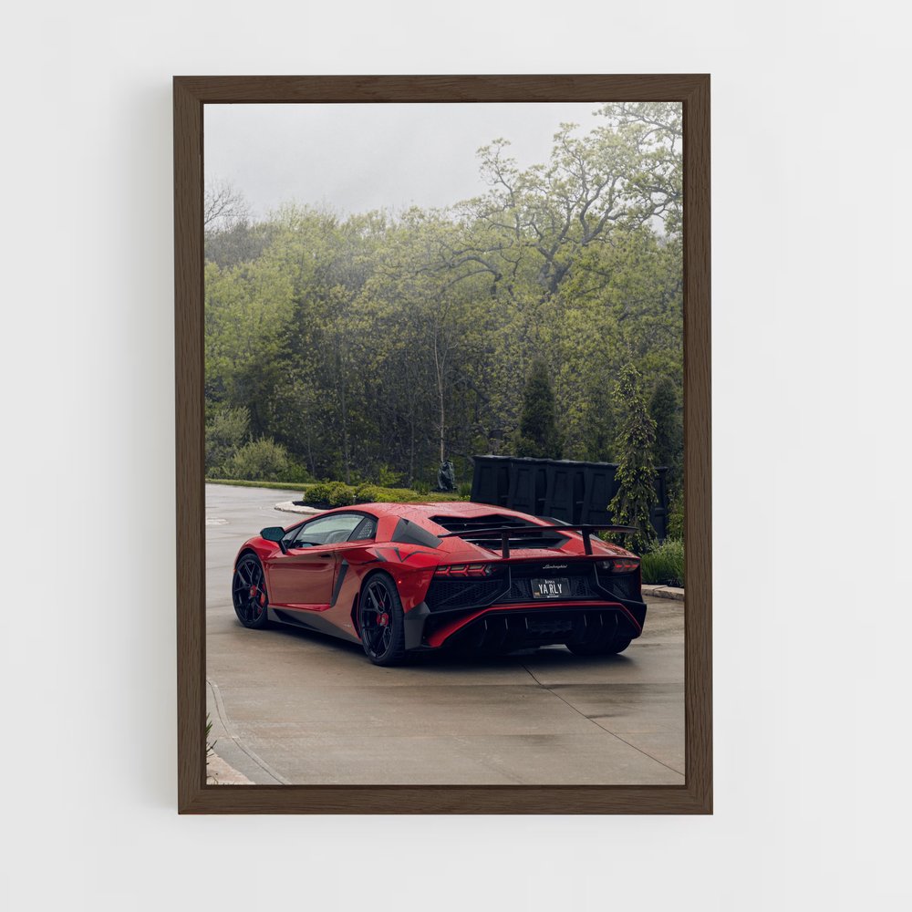 ap-aventador sv-4 cadre Bois foncé