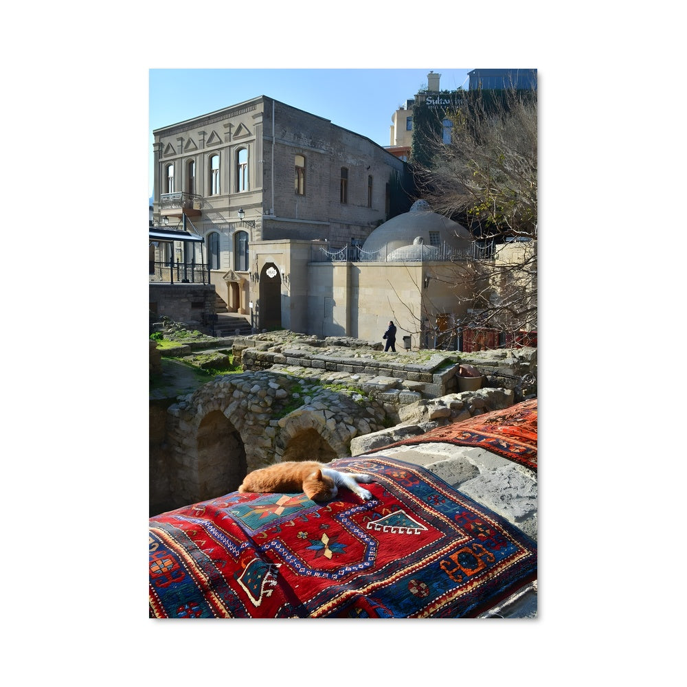 Poster Chat au Palais