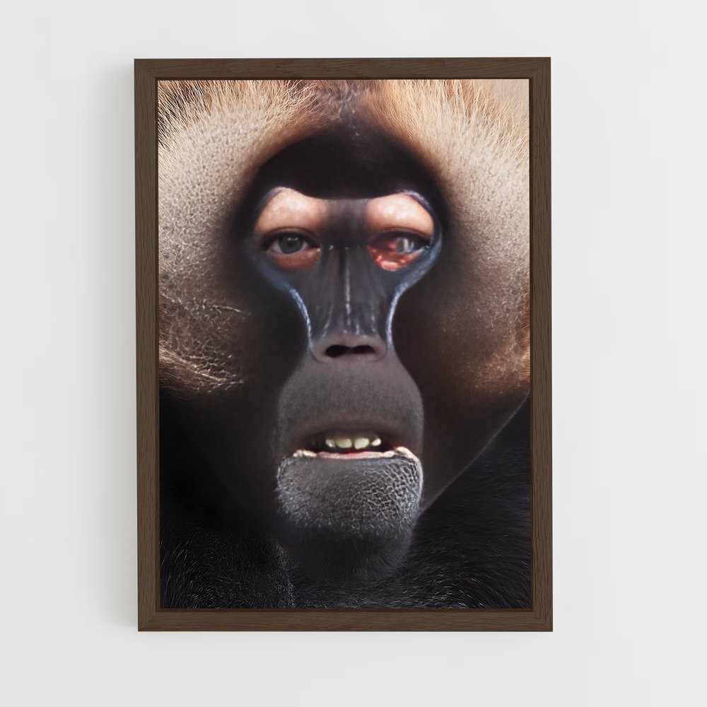 ap-baboon-5 cadre Bois foncé