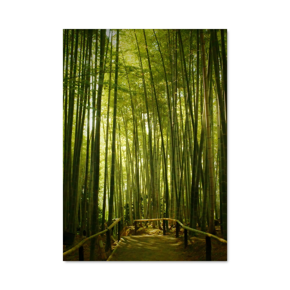 Poster Bamboo forest 94936