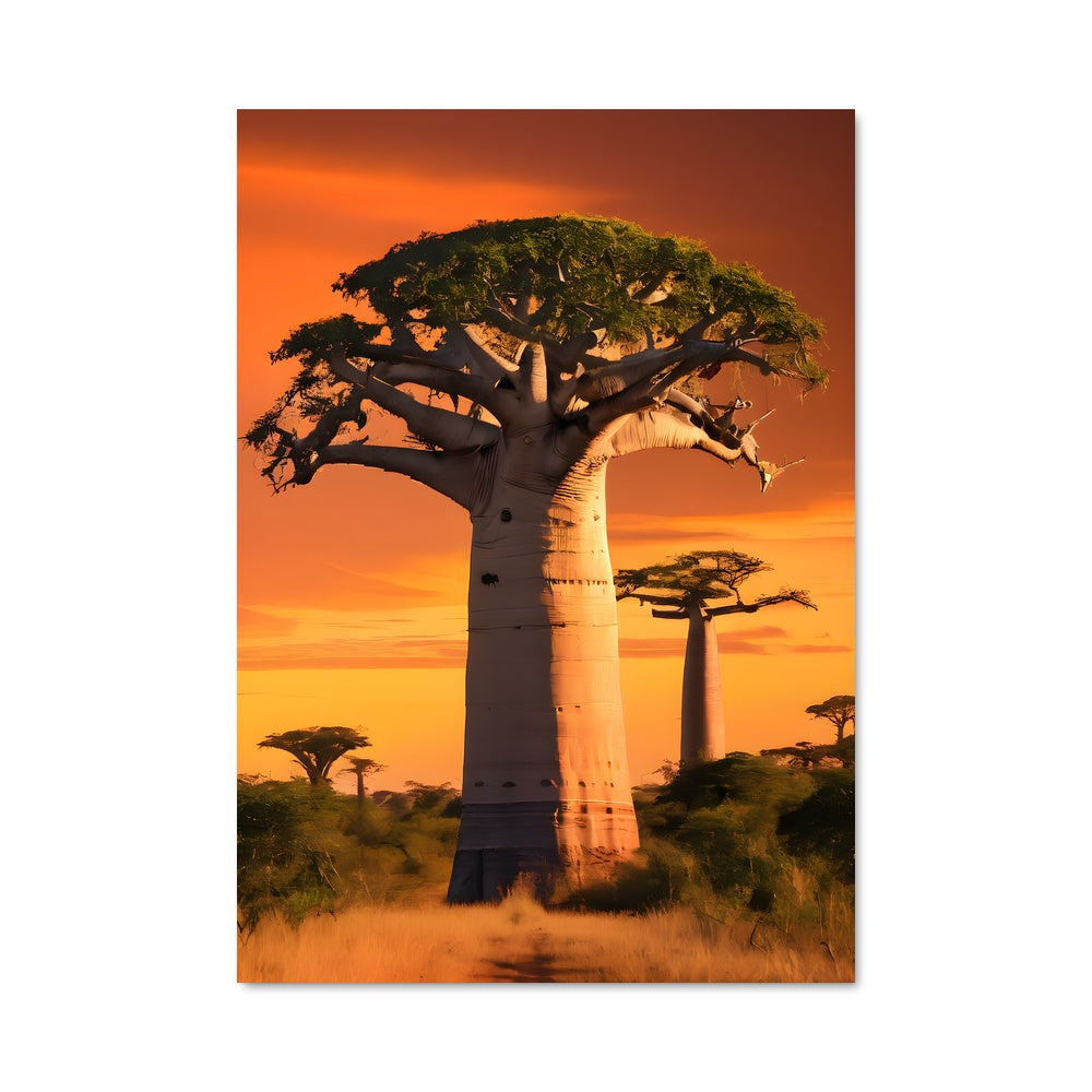 Poster Douceur Crépusculaire