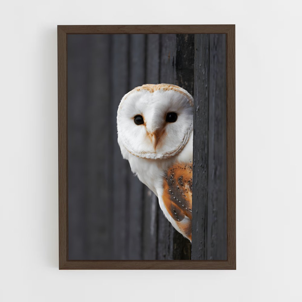 ap-barn owl-4 cadre Bois foncé