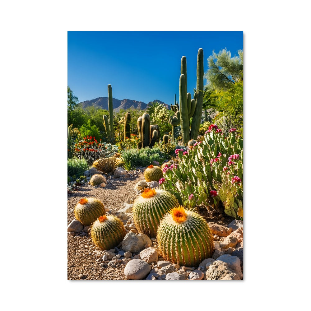 Poster Barrel cactus 96341
