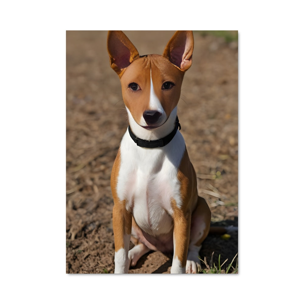 Poster Basenji en Pause