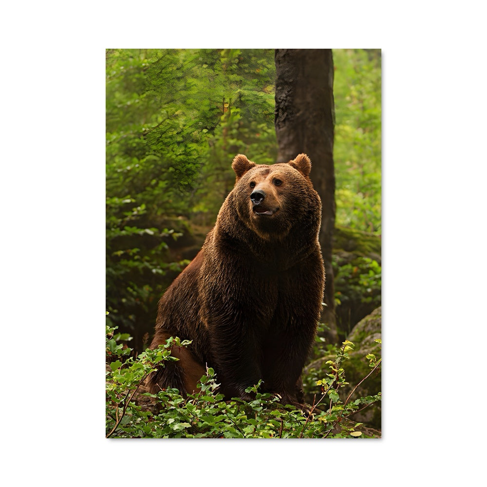 Poster L'Ours des Bois