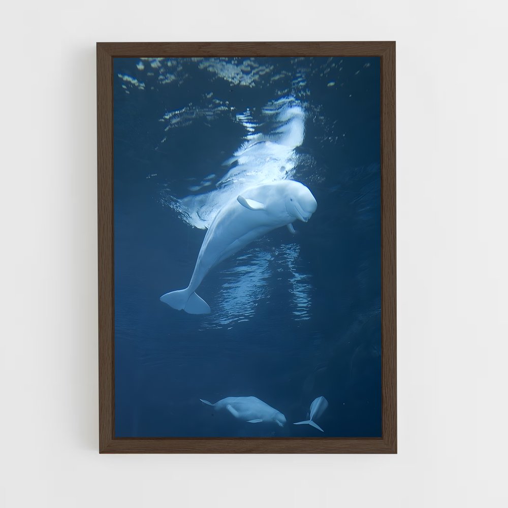 ap-beluga whale-6 cadre Bois foncé