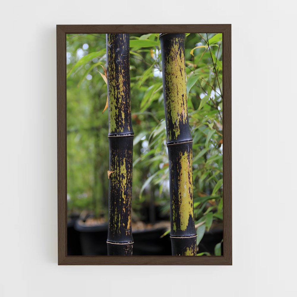 ap-black bamboo-3 cadre Bois foncé