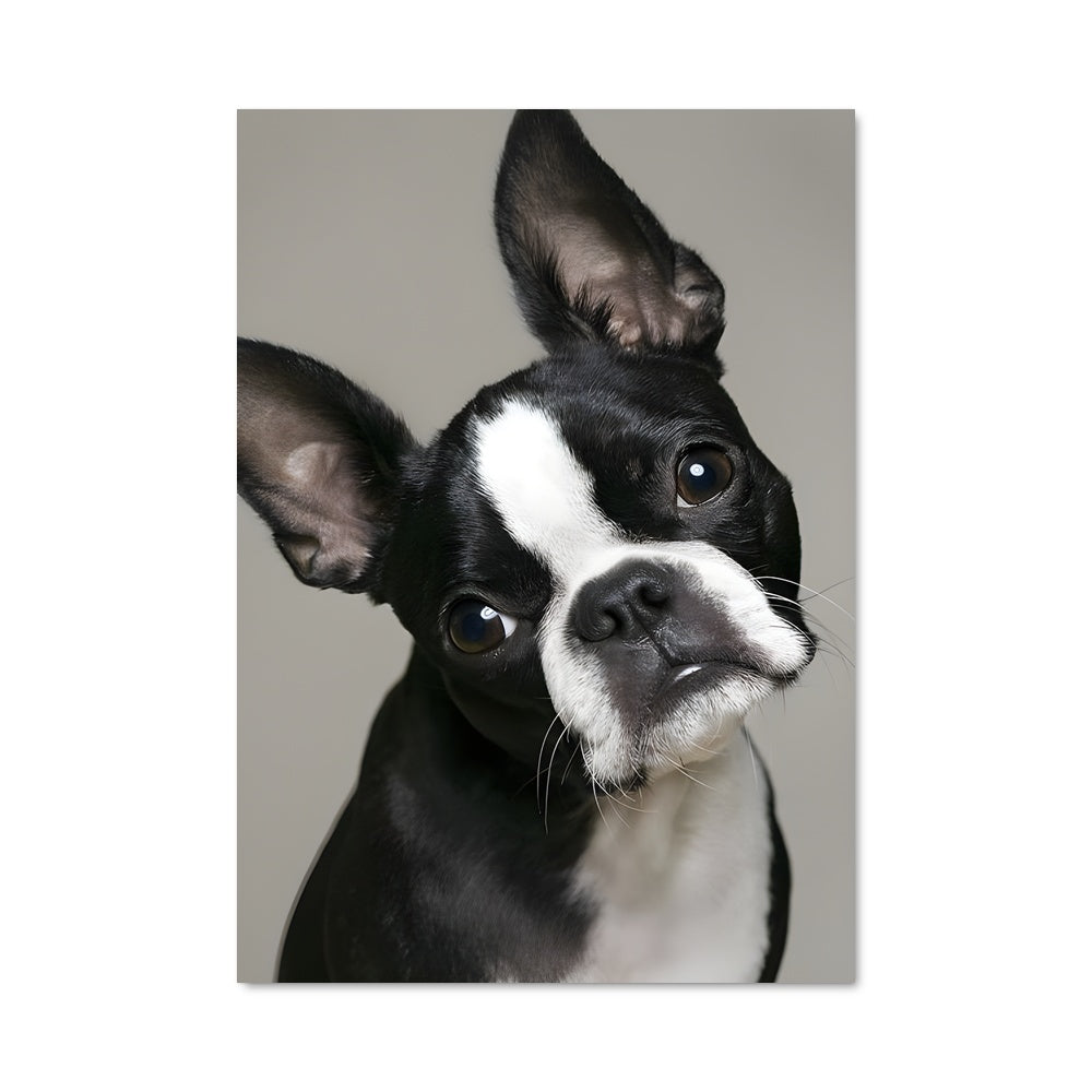 Poster Big Ears Buddy