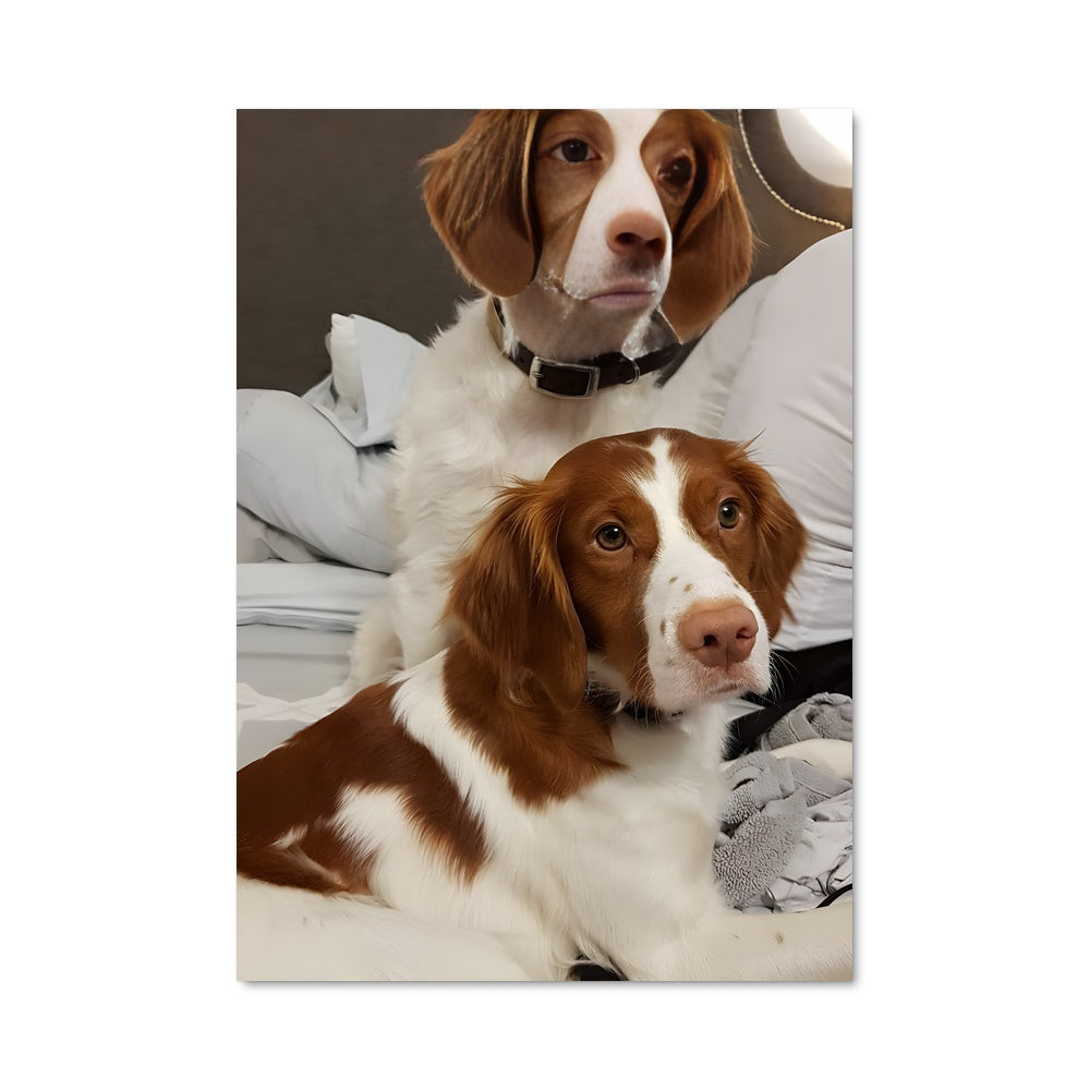 Poster Brittany 84935