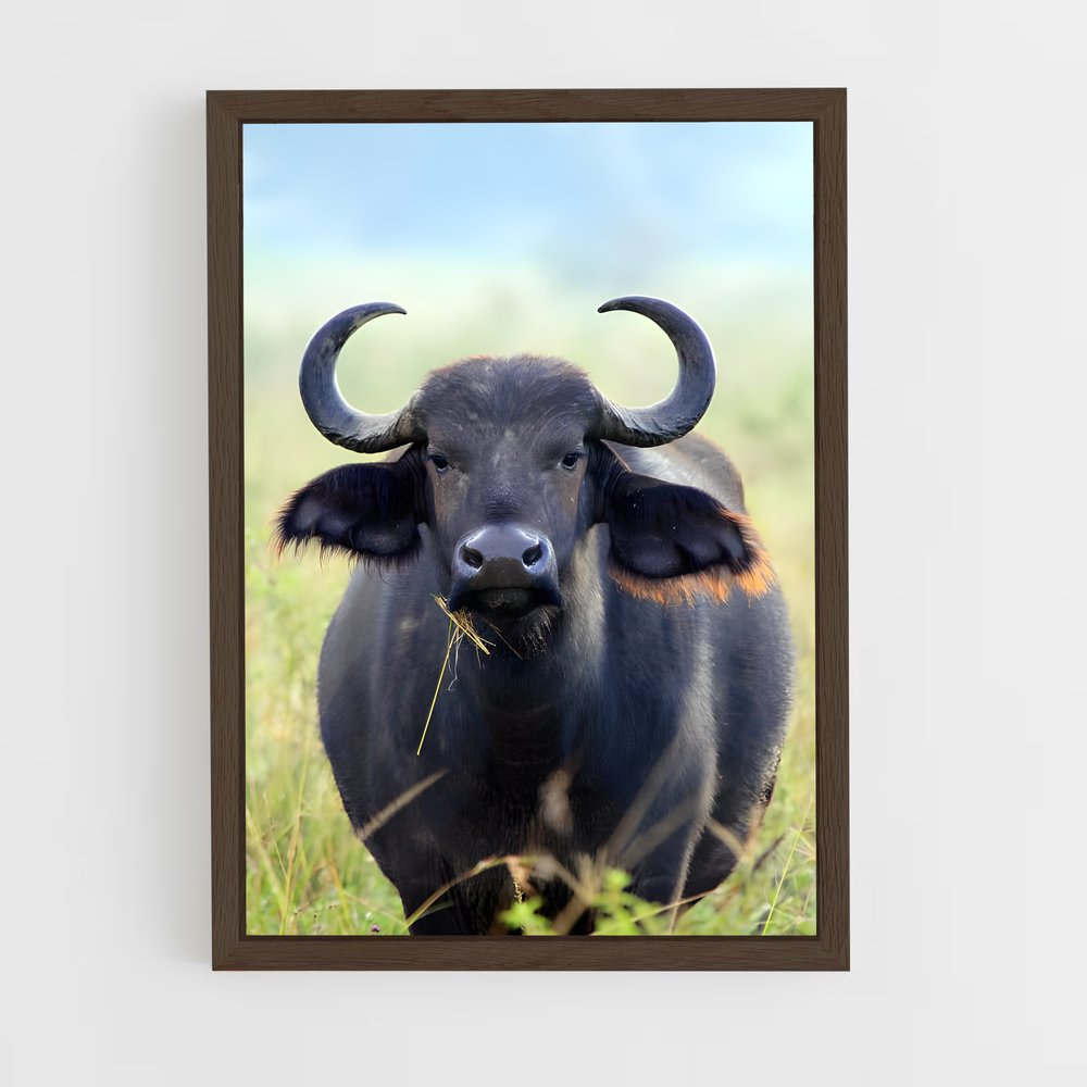 ap-buffalo-10 cadre Bois foncé