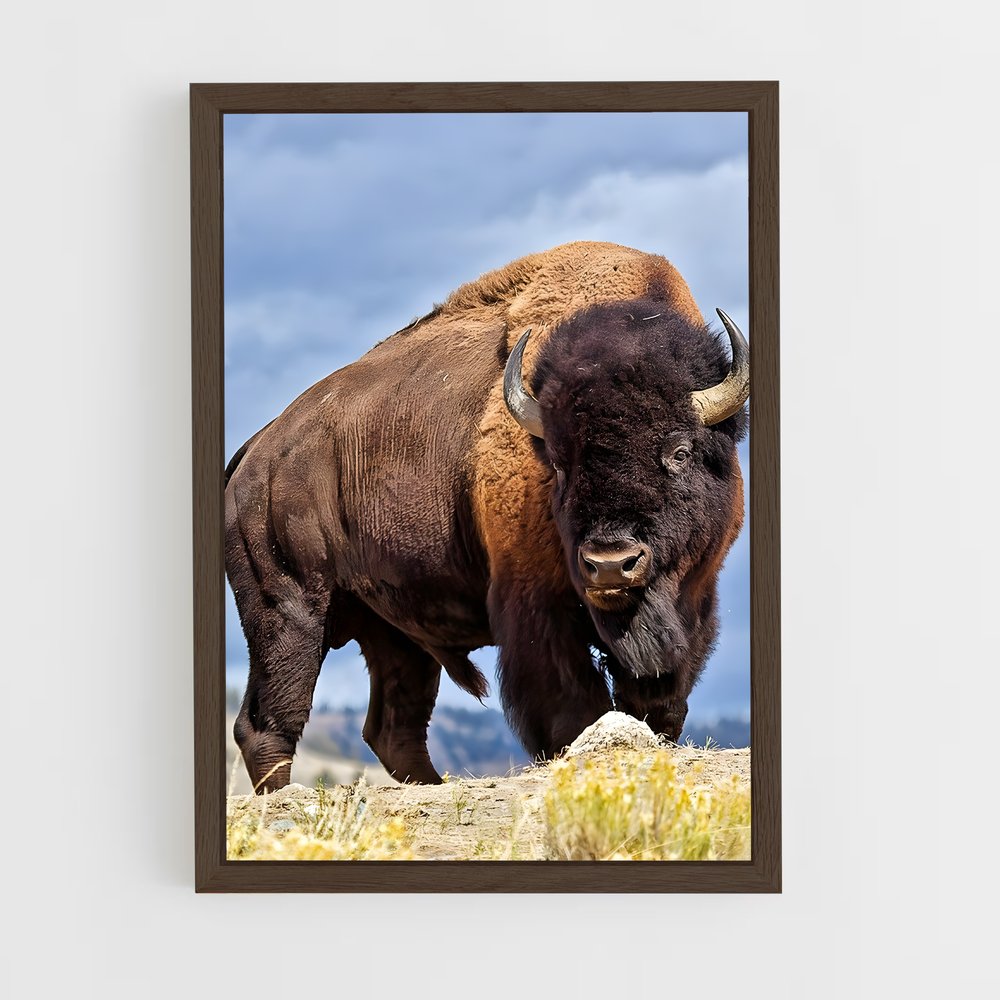 ap-buffalo-8 cadre Bois foncé