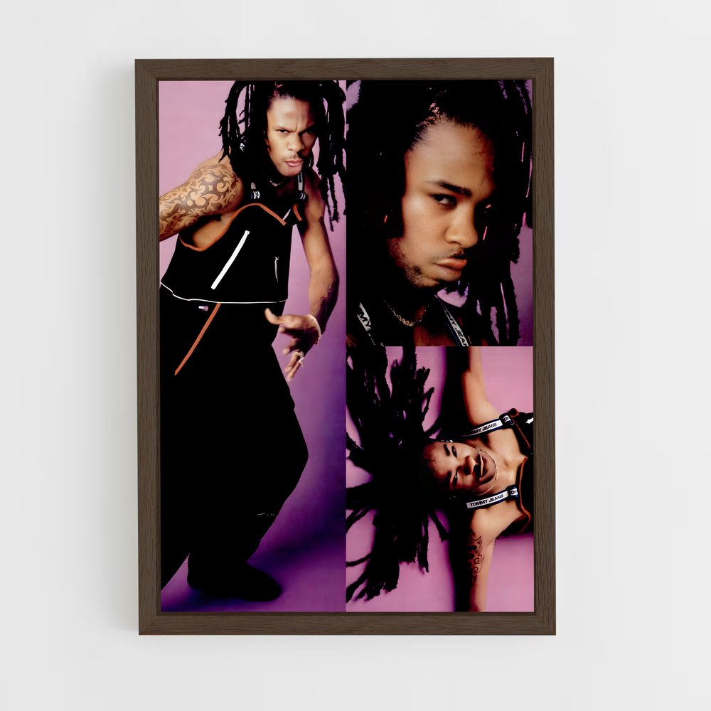 ap-busta rhymes-7 cadre Bois foncé