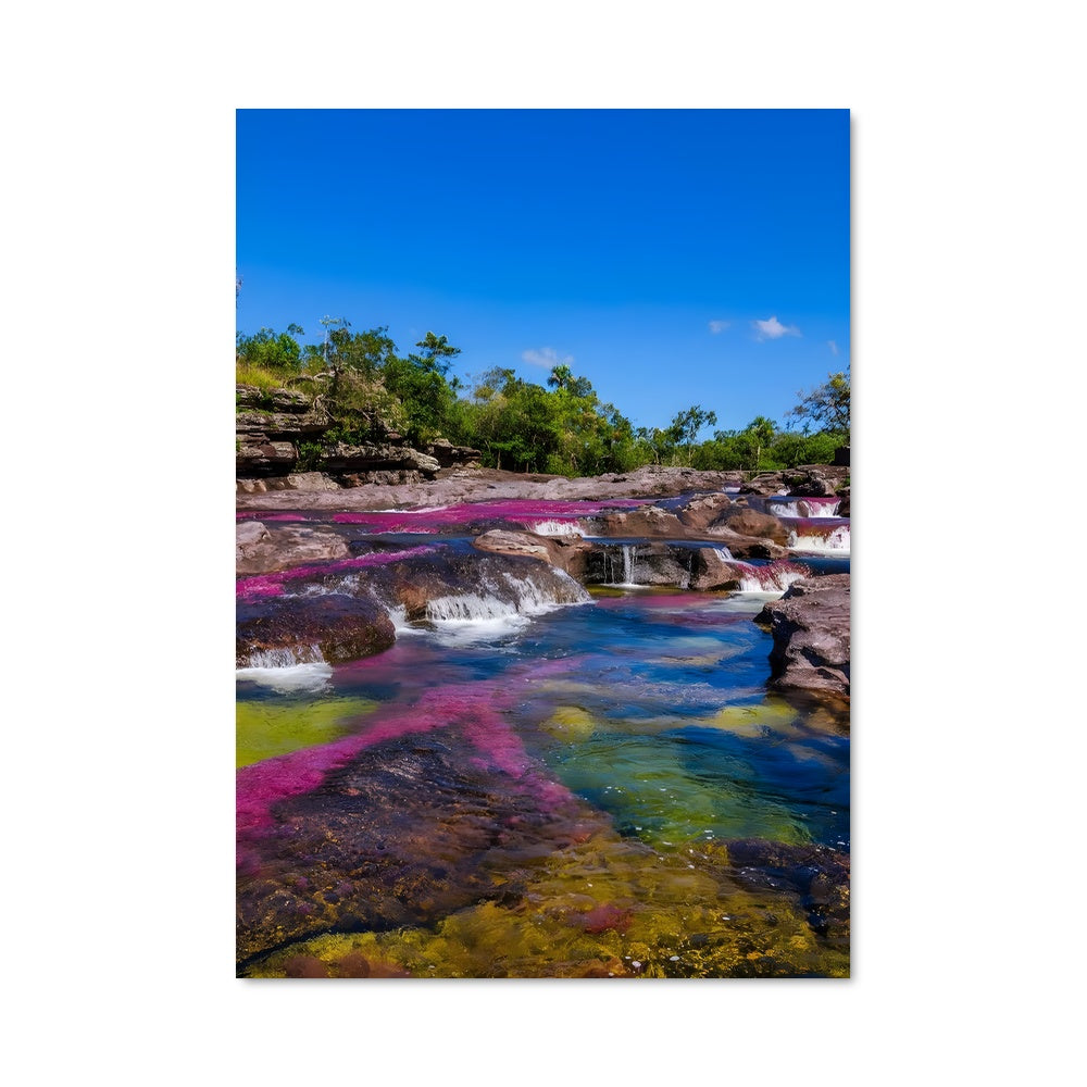 Poster Cascade Colorée