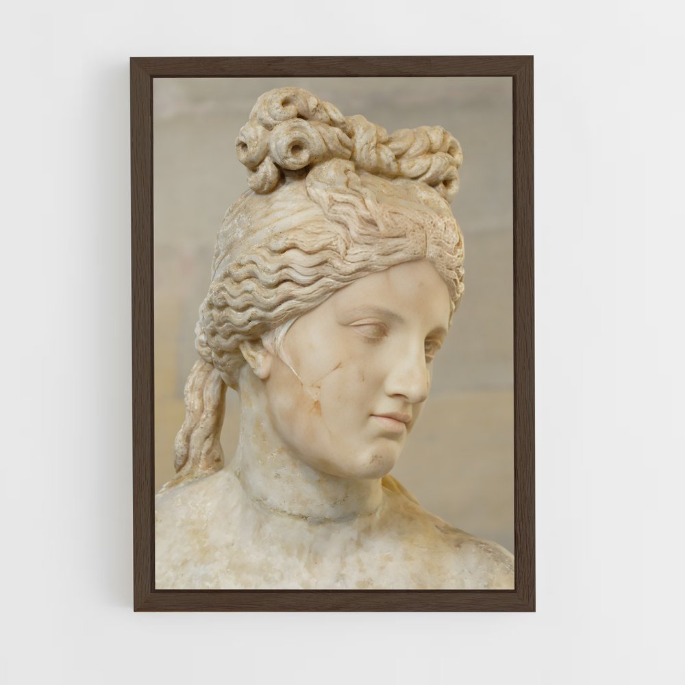 ap-capitoline venus-6 cadre Bois foncé