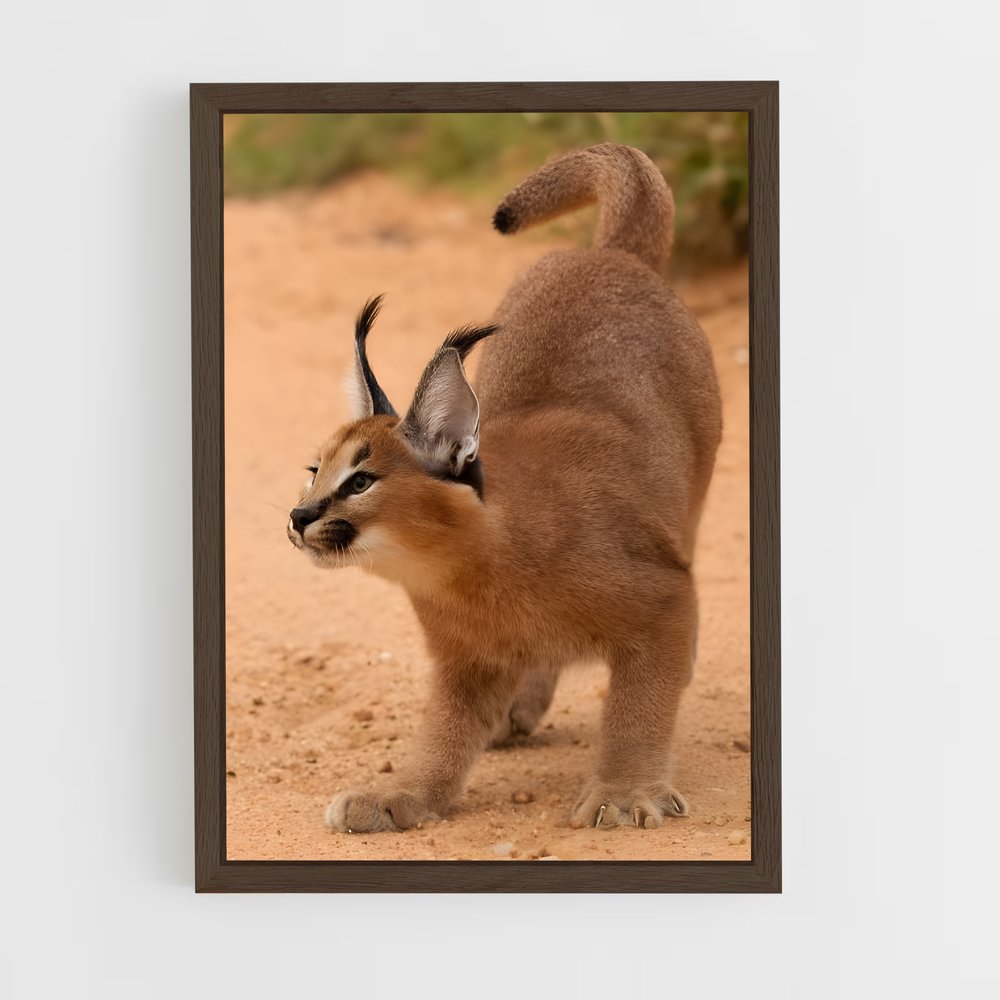 ap-caracal-3 cadre Bois foncé