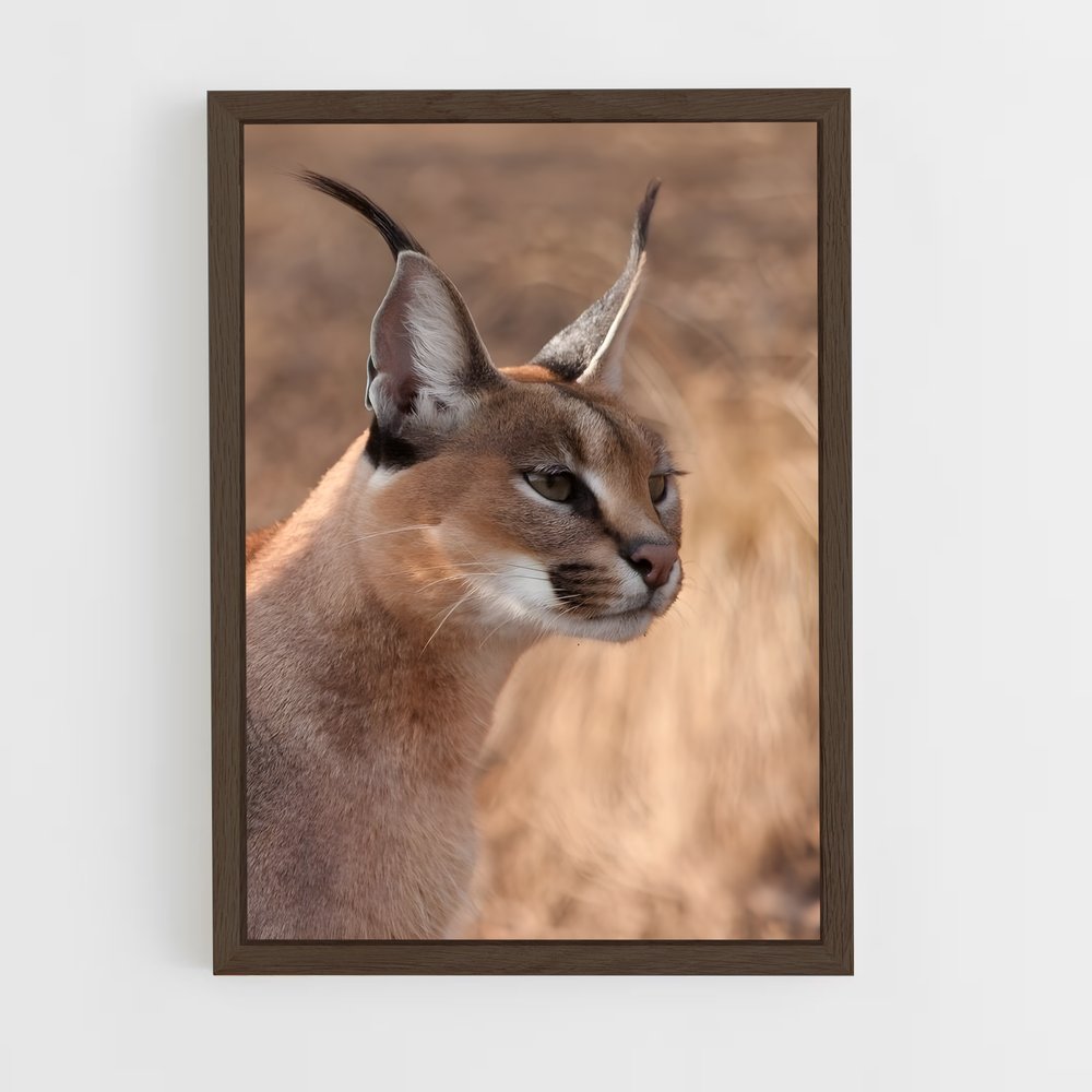 ap-caracal-7 cadre Bois foncé