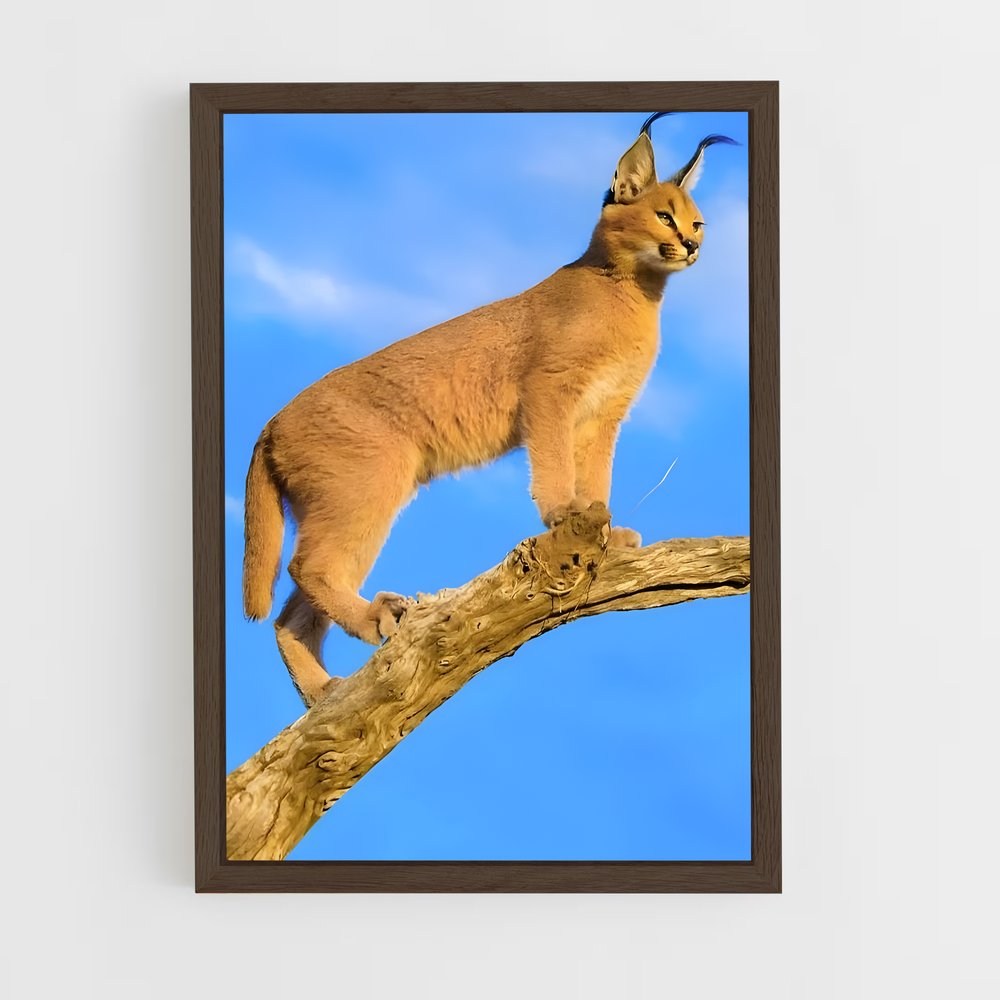 ap-caracal-9 cadre Bois foncé
