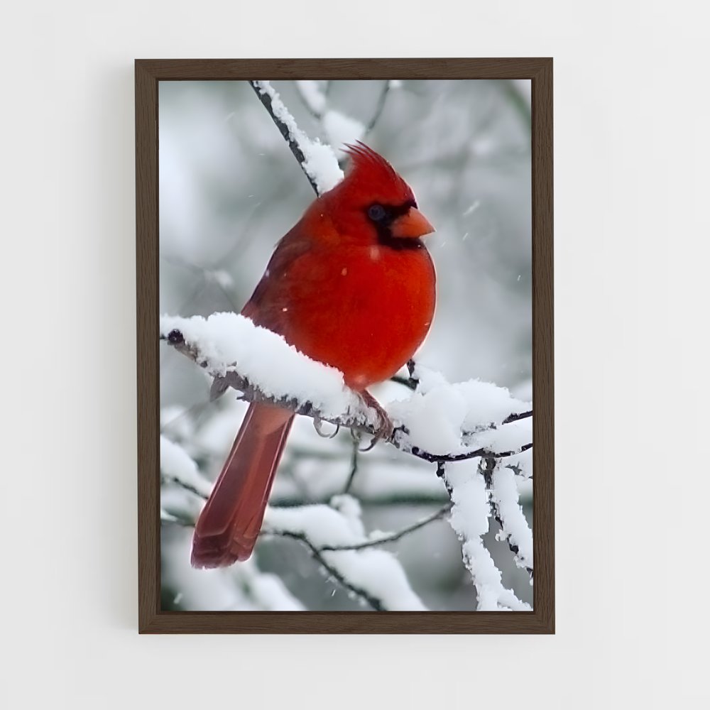 ap-cardinal-6 cadre Bois foncé