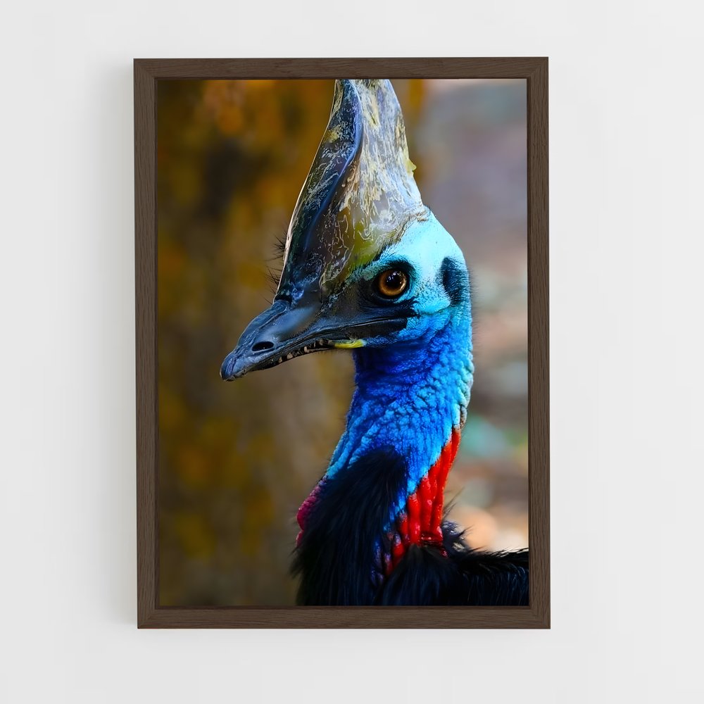 ap-cassowary-1 cadre Bois foncé