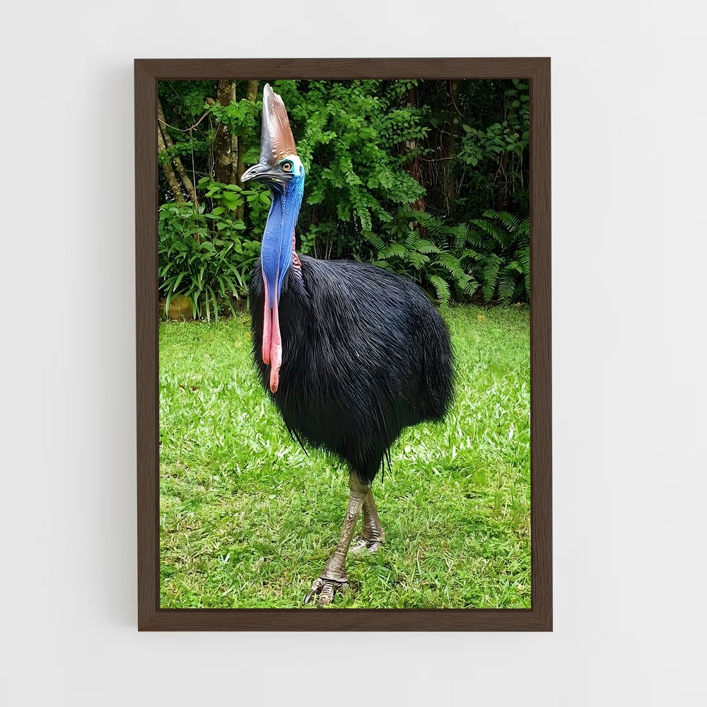 ap-cassowary-10 cadre Bois foncé