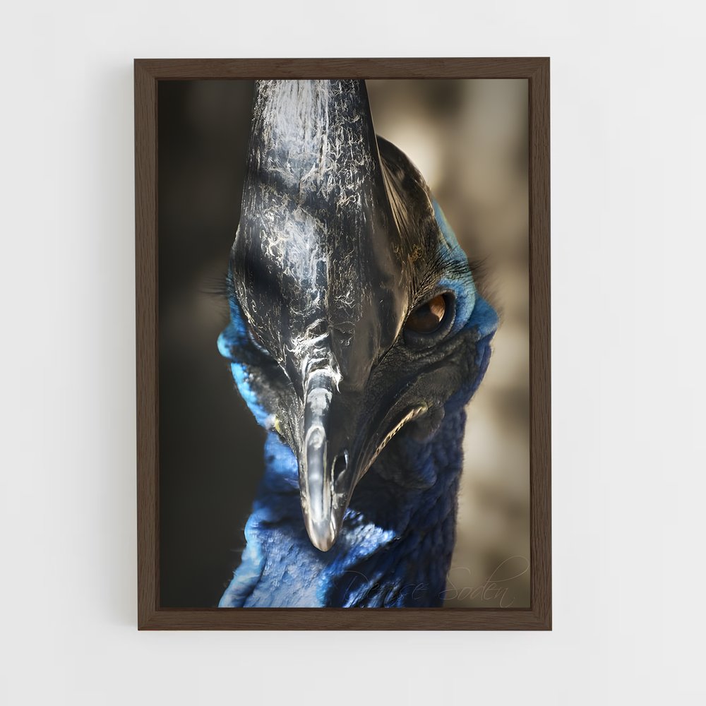 ap-cassowary-8 cadre Bois foncé