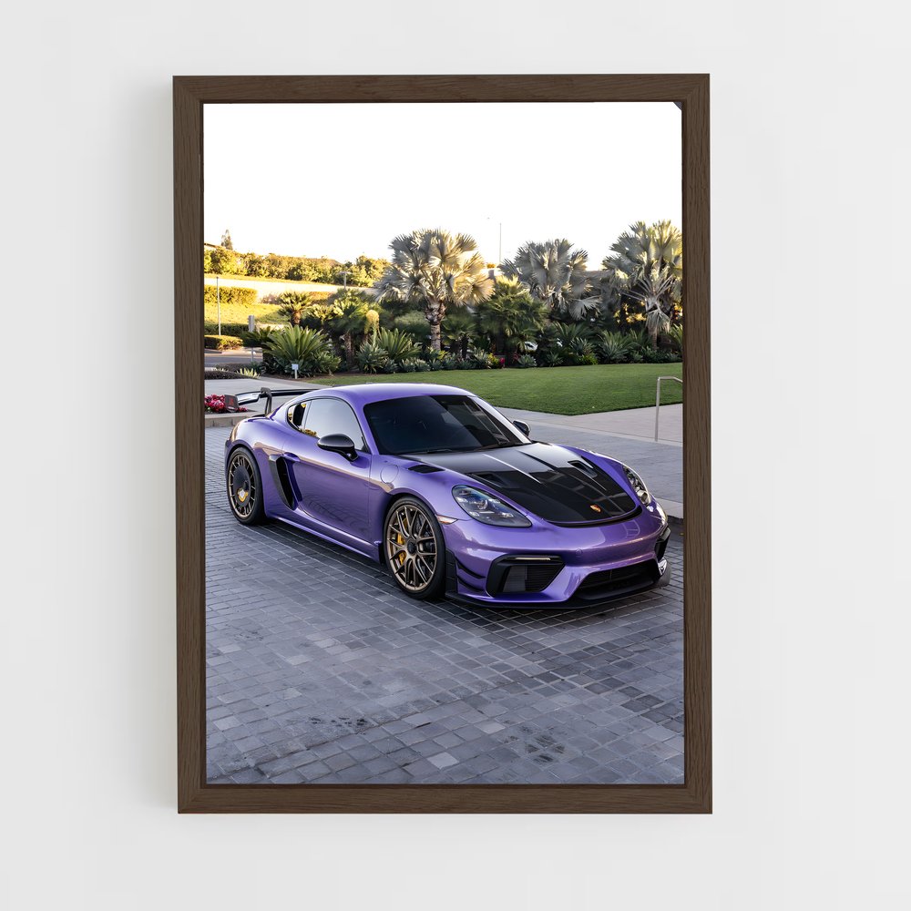 ap-cayman gt4-2 cadre Bois foncé