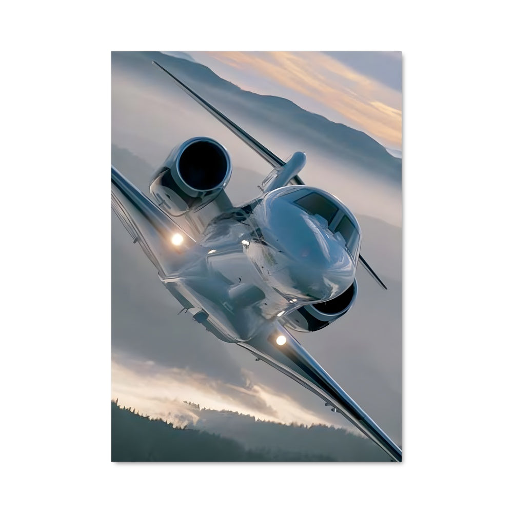 Poster Vol Élégant