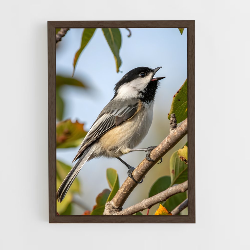 ap-chickadee-3 cadre Bois foncé