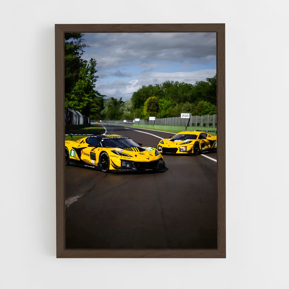 ap-corvette c7 gt3-r-4 cadre Bois foncé