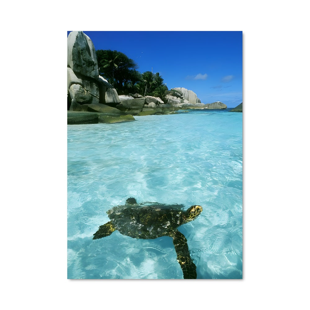 Poster Costa rica 92701