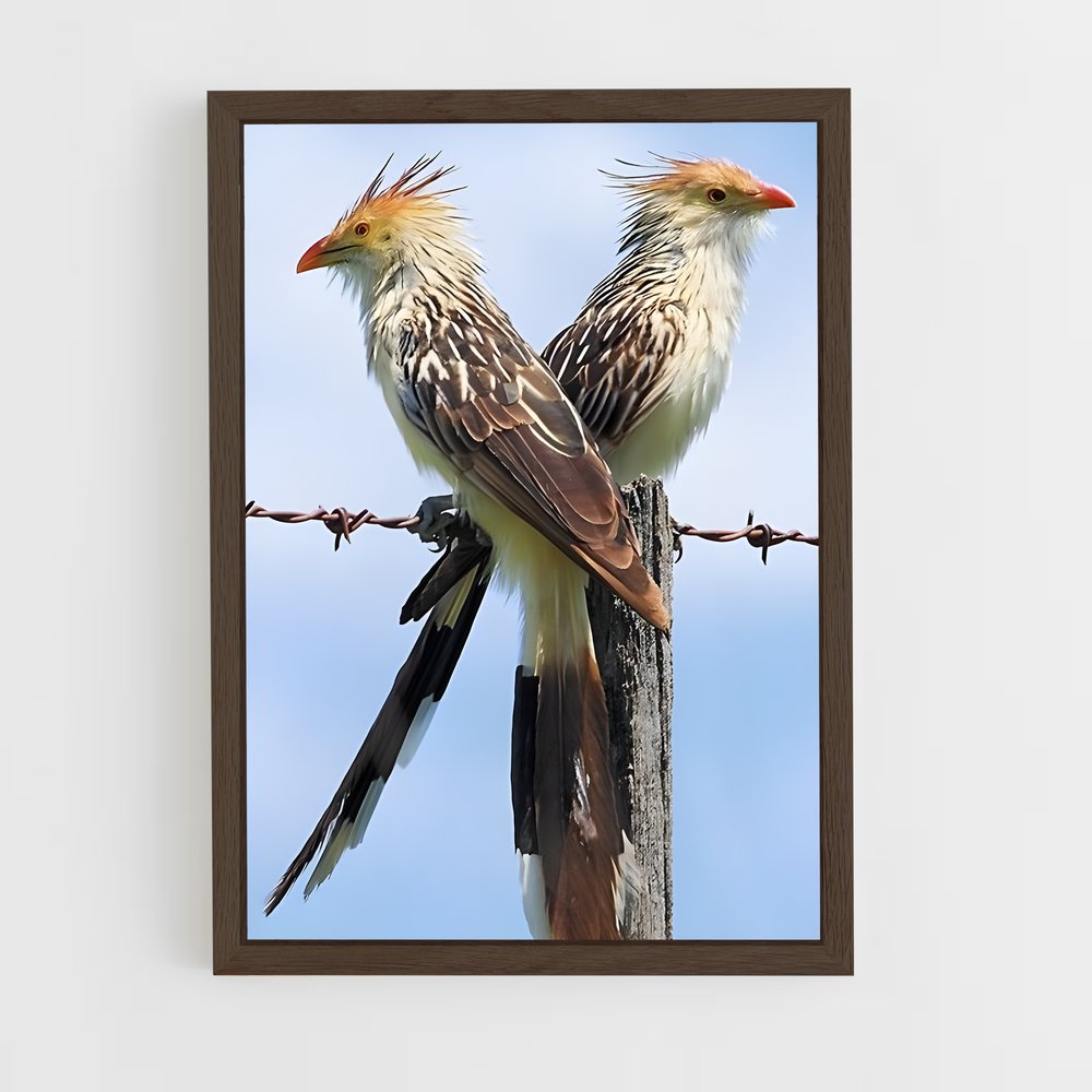 ap-cuckoo-2 cadre Bois foncé