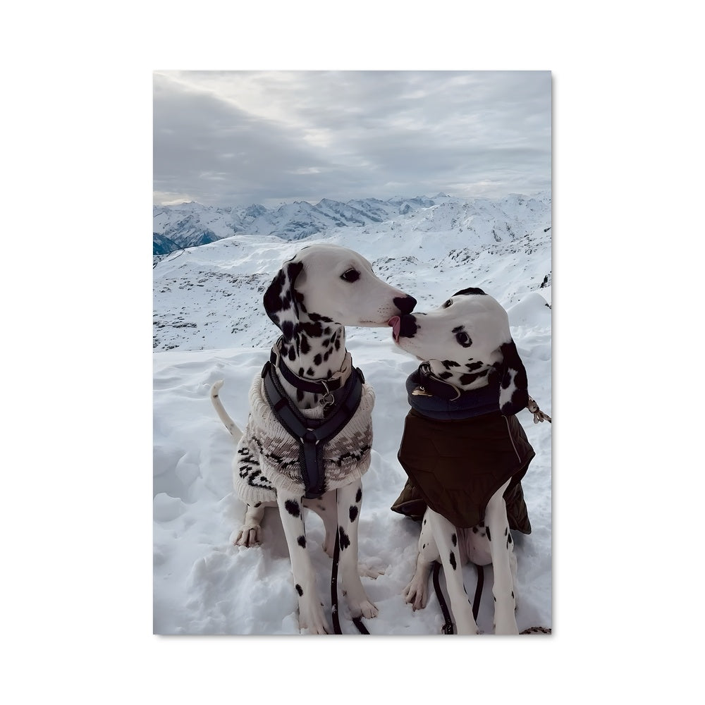 Poster Neige Dalmatienne