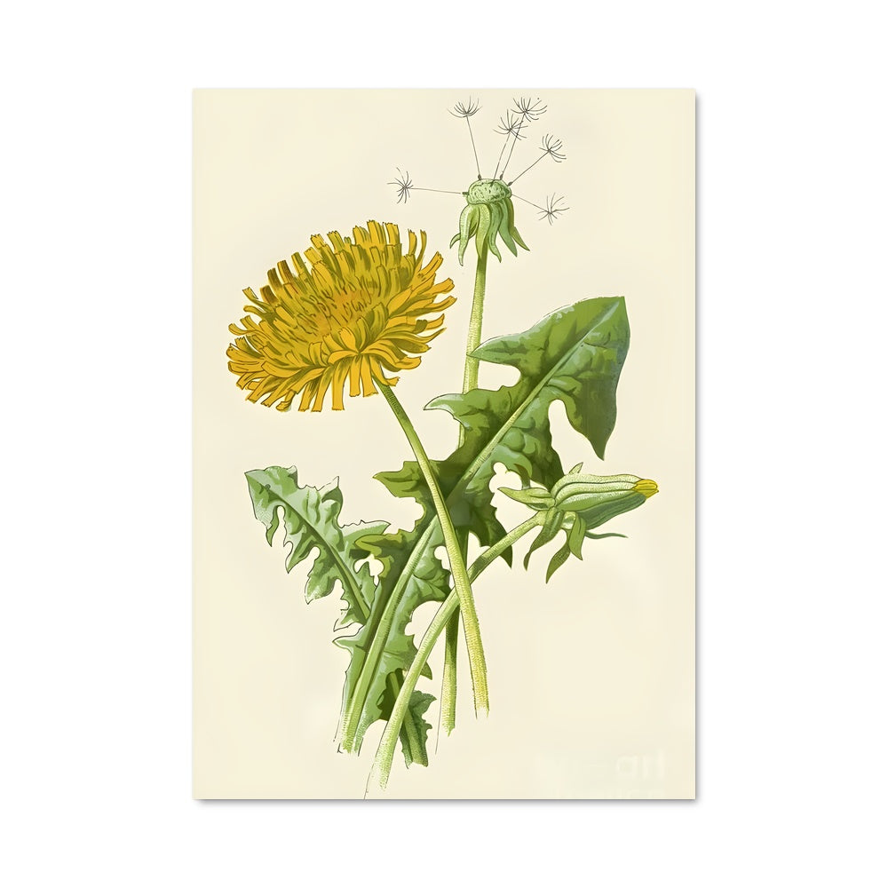 Poster Danse de Pissenlit