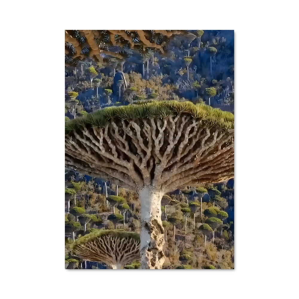 Poster Arbre de Champignon