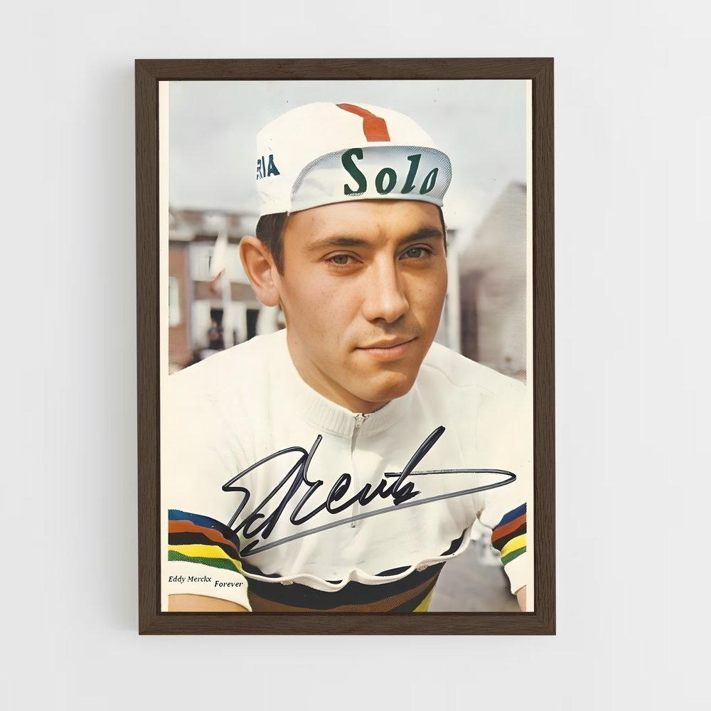 ap-eddy merckx-1 cadre Bois foncé