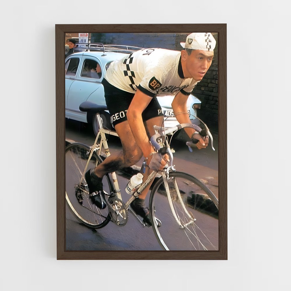 ap-eddy merckx-6 cadre Bois foncé