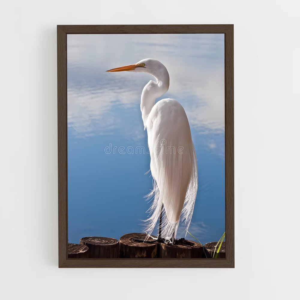 ap-egret-8 cadre Bois foncé