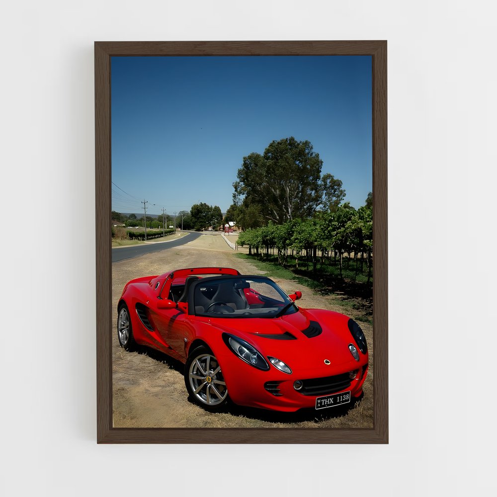 ap-elise sport-1 cadre Bois foncé